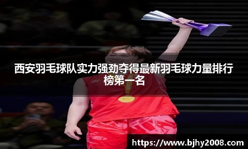 Mksport体育app官网入口