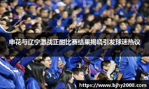 申花与辽宁激战正酣比赛结果揭晓引发球迷热议