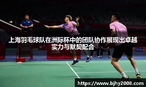 Mksport体育app官网入口