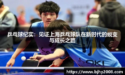 Mksport体育app官网入口